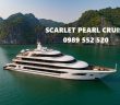 scarlet pearl cruise