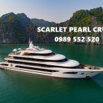 Scarlet Pearl Cruise 2 ngày 1 đêm tour trọn gói 5 sao Giá Tốt 0989552520