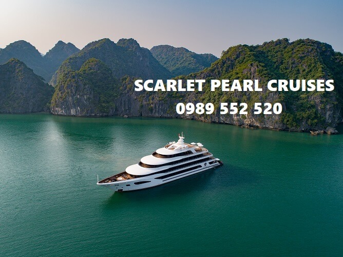 scarlet pearl cruises