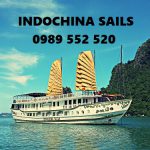 Indochina Sails 2N1D Hạ Long ưu đãi giá dịch vụ tốt nhất 0989552520