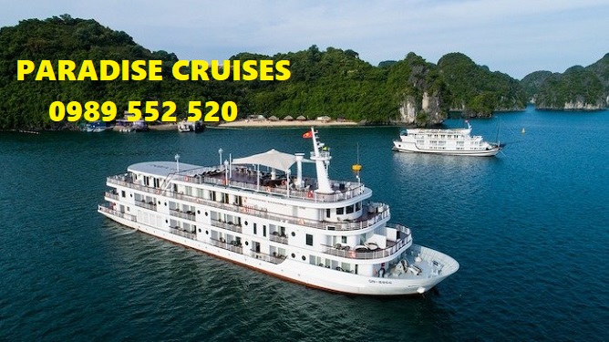 paradise cruises