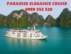 paradise elegance cruise