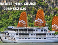 paradise peak cruise