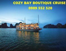 cozy bay boutique cruise