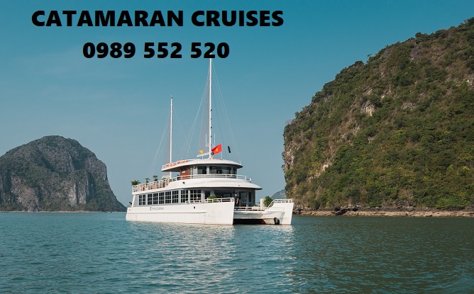 catamaran cruises
