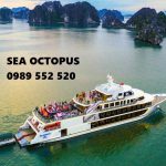 Sea Octopus Cruise hành trình Hạ Long 1 ngày Khuyến Mại