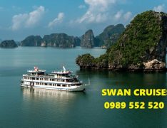 swan cruises