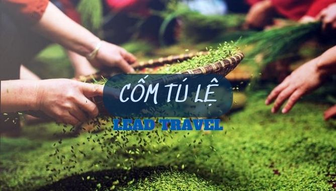cốm tú lệ