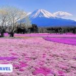 Du lịch Nhật Bản tháng 5 – Tour Giá Siêu Tốt 0989552520