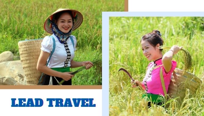 gạo nếp tú lệ