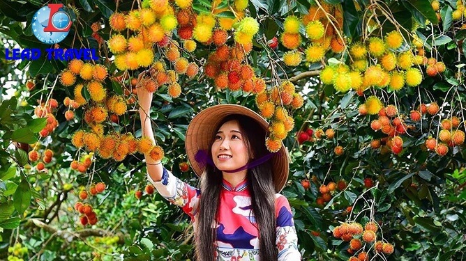 tour miền tây 3 ngày
